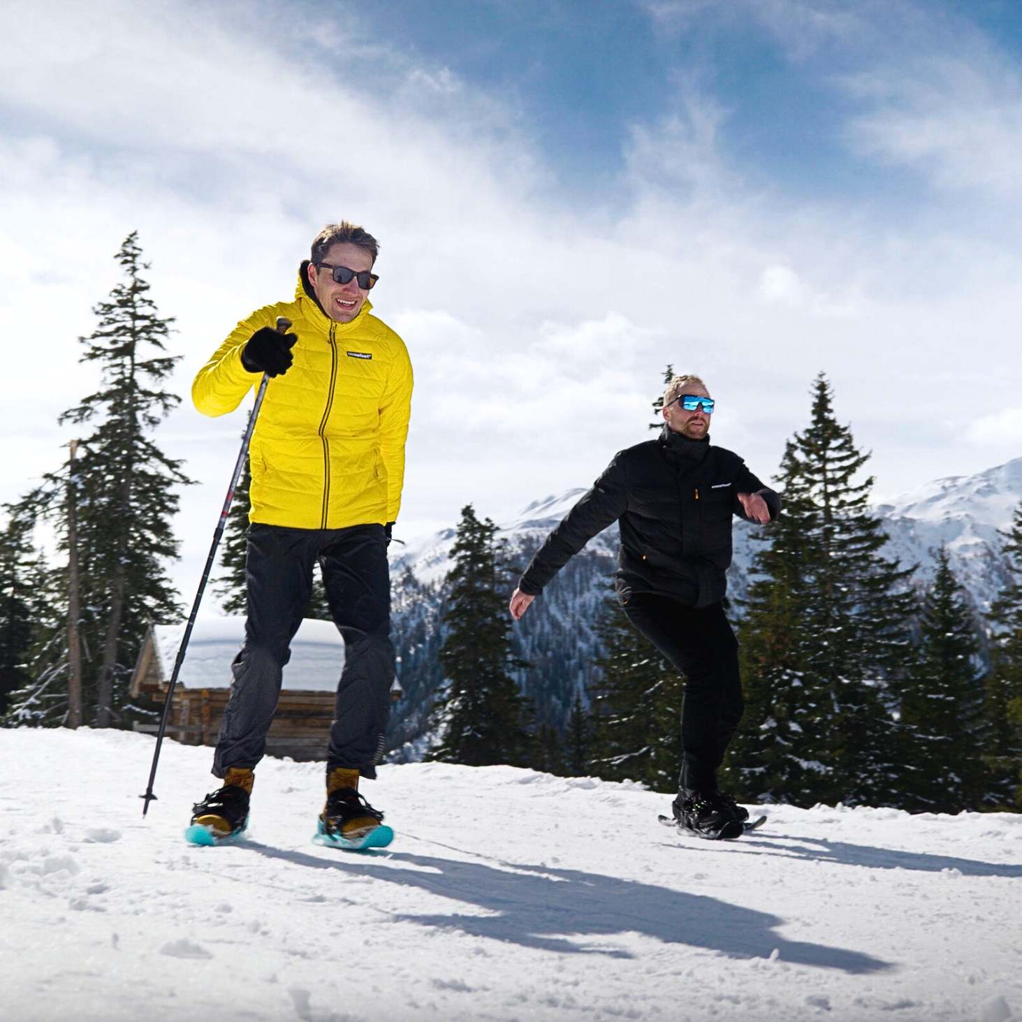 Two people skiing on a snowy mountain with trees and a clear sky in the background.